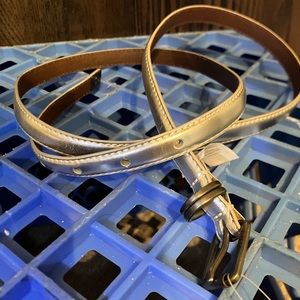 Silver Roxy Skinny Belt
